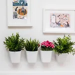 Apartmán Ana *